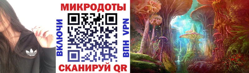 Купить где  Калуга  Галлюциногенные грибы мицелий 