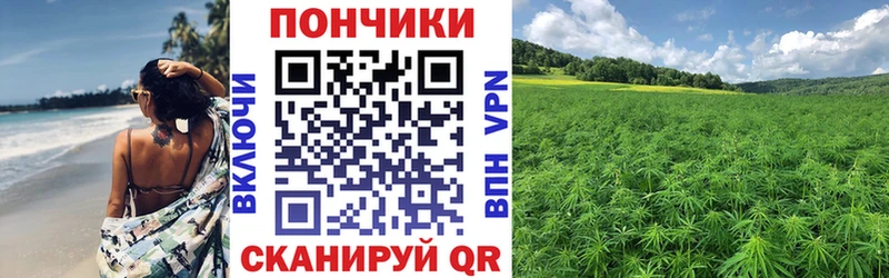 Купить закладки  Калуга  МАРИХУАНА Amnesia 